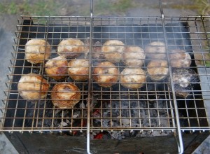 Як замаринувати печериці для шашлику