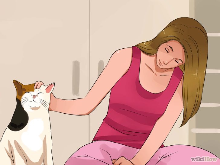 Cum să câștigi încrederea unei pisici