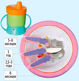 Коли привчати дітей користуватися столовими приборами, розвиток дитини