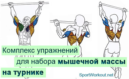 Набор от упражнения за мускулна маса разположен на бара, на първия проект в качеството на ОНД