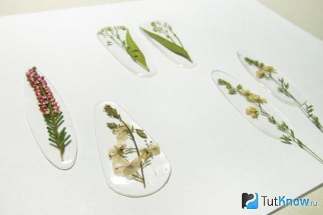 Композиції сухих квітів - композиції з сухих квітів - практика складання і план роботи