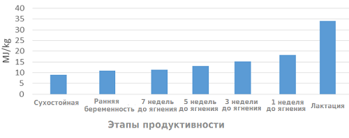 Hrănirea oilor în timpul alăptării