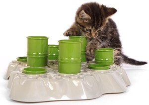 Годівниця-іграшка для котів, які люблять поїсти, місто кішок