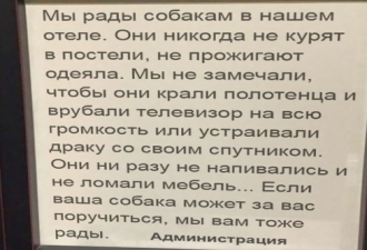 Un pisoi împotriva a două mere! Cea mai brutală și drăguță luptă pe care ai putea-o vedea