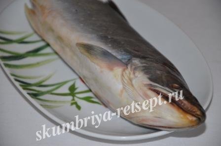 Червона риба горбуша в аерогрилі рецепт з покроковими фото