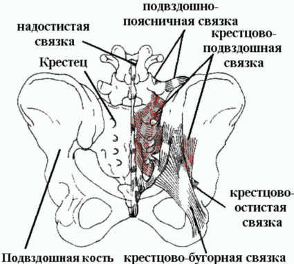 Sacroiliacalis közös struktúra, sérülések, betegségek