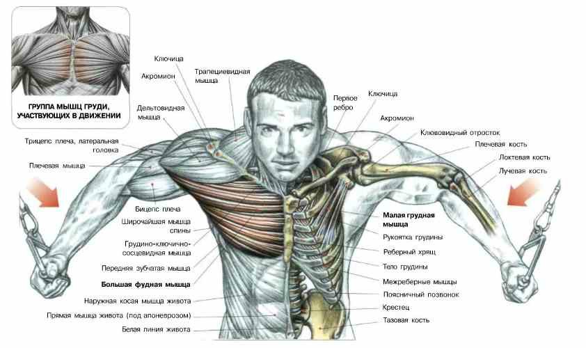 Exercițiul crossover sau amestecarea mâinilor într-un bloc