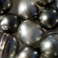 Культивовані, прісноводний і скляний перли що вибрати