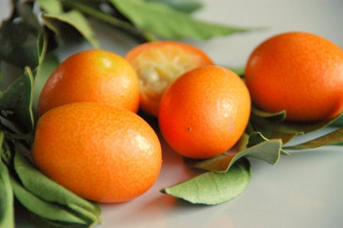 Kumquat - care sunt aceste moduri de a mânca și proprietățile utile ale fructelor exotice