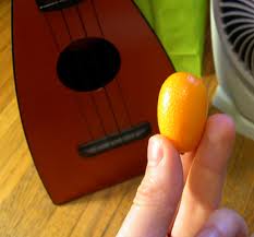 Kumquat hasznos tulajdonságai keleti egzotikum