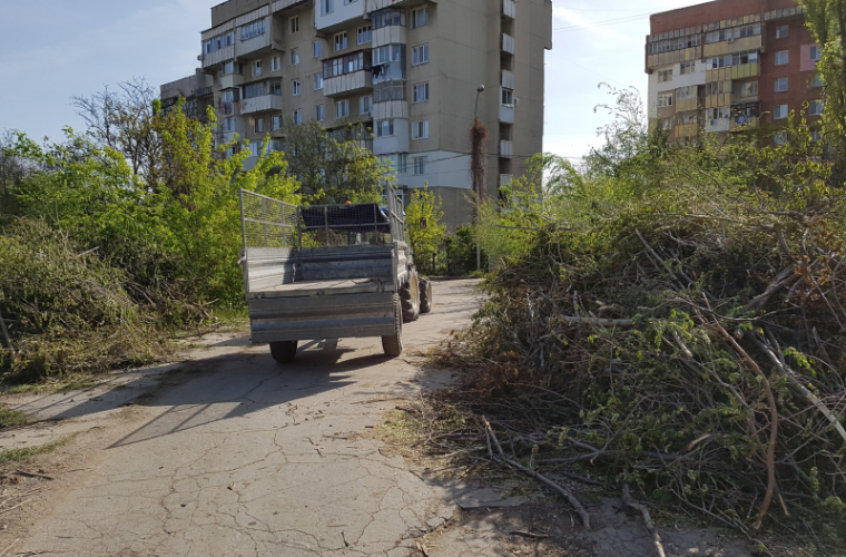 Puiul a strigat! Filialele din Chișinău zdrobesc doar o unitate