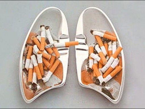 Куріння, вбиває, звичка, вплив, на плід під час вагітності, для школярів, шкода,