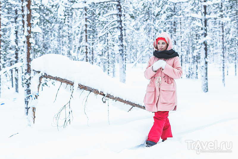 Laponia în timpul iernii - ce să faceți și cât costă