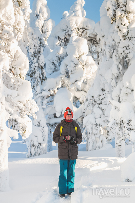 Лапландія взимку - чим зайнятися і скільки це коштує
