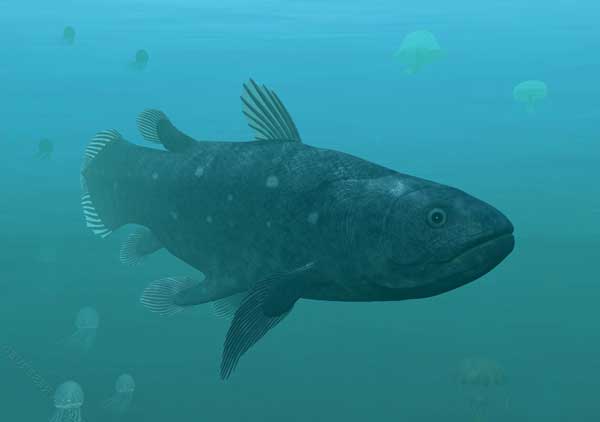 Coelacanth - pește - o fosilă vie - sau o coelacanth