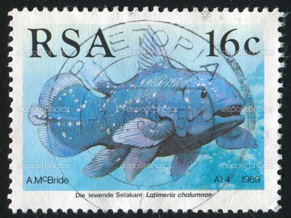 Coelacanth - pește - o fosilă vie - sau o coelacanth