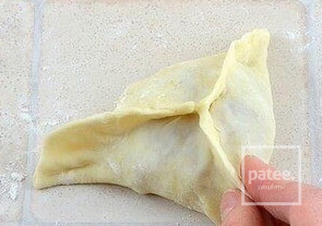 Легка самса з куркою і картоплею - рецепт з фотографіями - patee