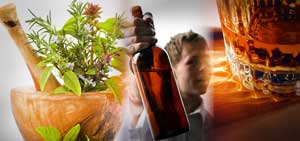 Plante medicinale pentru tratamentul alcoolismului