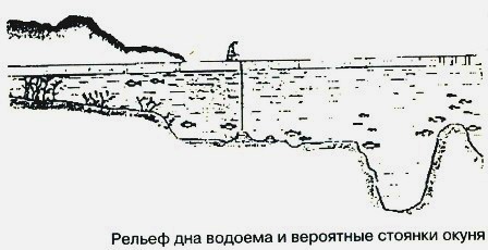 Ловля великого окуня на спінінг приманками-блешня, воблер, вертушки