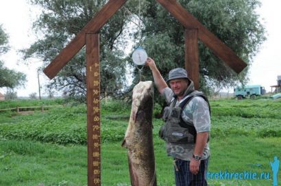 Ragályos nagy harcsa Akhtuba Three Rivers - halászat Akhtuba kényelmesen - a halászati ​​alap