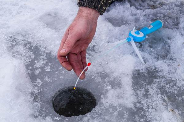 Ловля окуня по першому льоду на дону