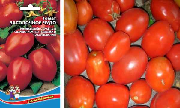 Кращі сорти томатів для відкритого грунту