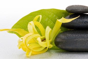 Ylang-ylang ulei în cosmetologie pentru păr, față, piele, cuie