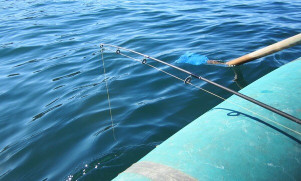 Pescuitul marin pentru cambulă