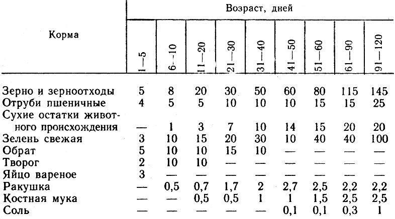 Възможно ли е да имат на летните къща пуйки - разплод тайни