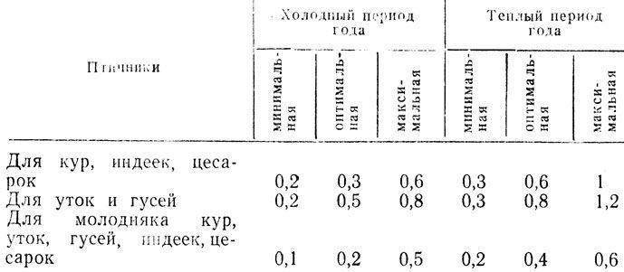 Чи можна на дачній ділянці завести індиків - секрети розведення