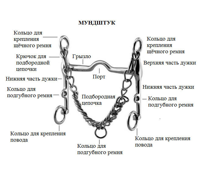 Мундштуки і пелями, як вибрати, кінний магазин