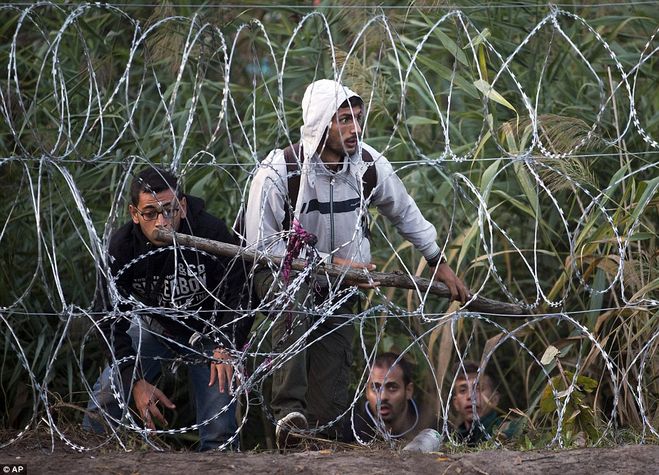 Чи почне європа вбивати мігрантів, захищаючи свої кордони