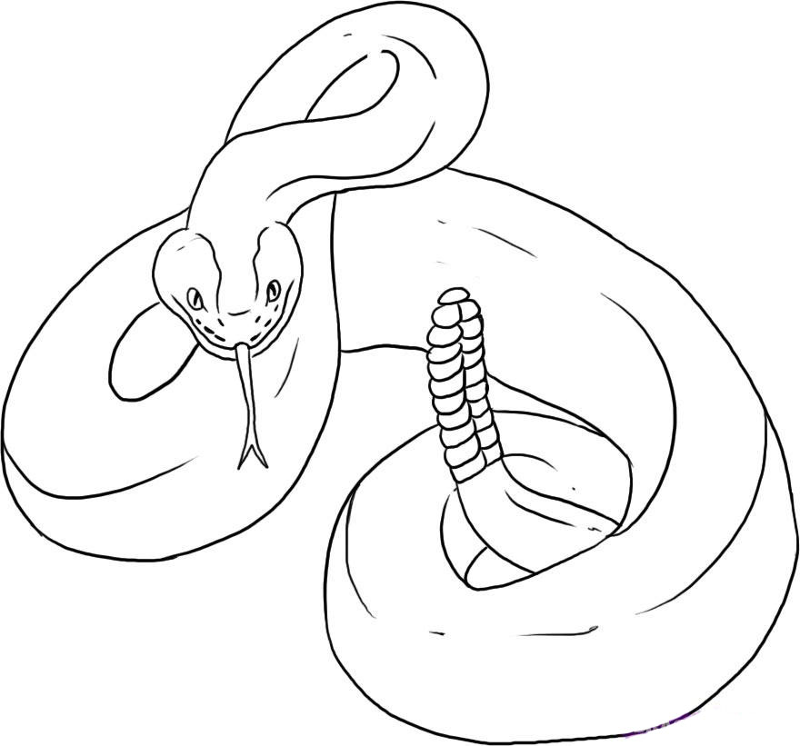 Desenați un șarpe de șarpe