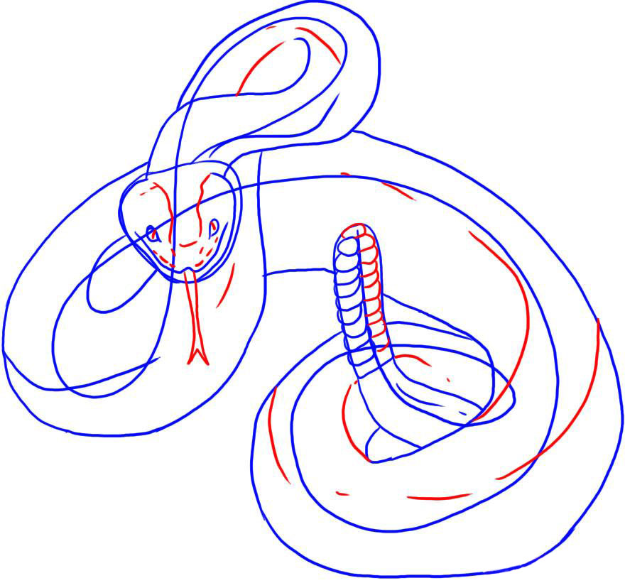 Desenați un șarpe de șarpe