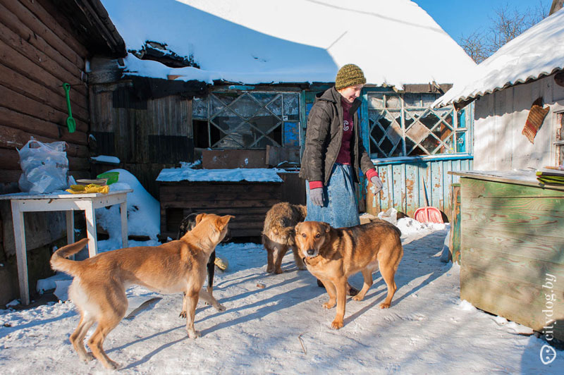 Experimentul nostru cum să căutăm proprietarul unui câine pierdut, o revistă despre Minsk