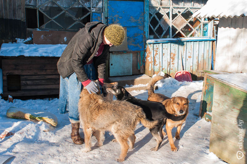 Наш експеримент як шукати господаря втраченої собаки, журнал про Мінську
