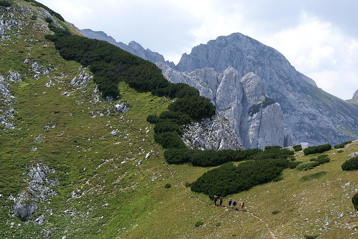 Parcul național durmitor în Muntenegru (18 fotografii)