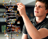 O modalitate de corectare a erorilor genetice este găsită, bioanalitică