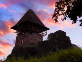 Nevitsky castel, invizibil, ucraina fotografie, descriere, pe hartă