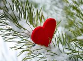 Nevickei vár, Nevytske, Ukrajna fotó, leírás, térkép (vár) Nevickei vár, Nevytske, Ukrajna fotó, leírás, térkép
