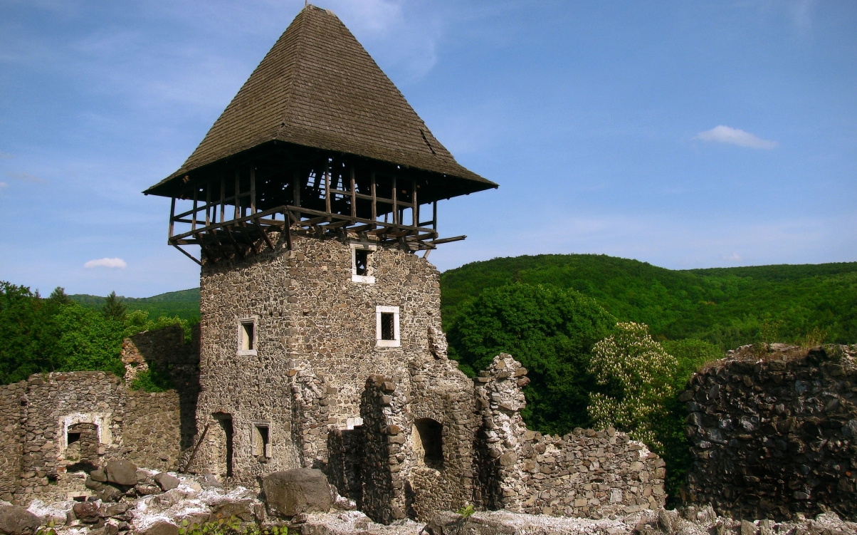 Невицький замок, the traveller