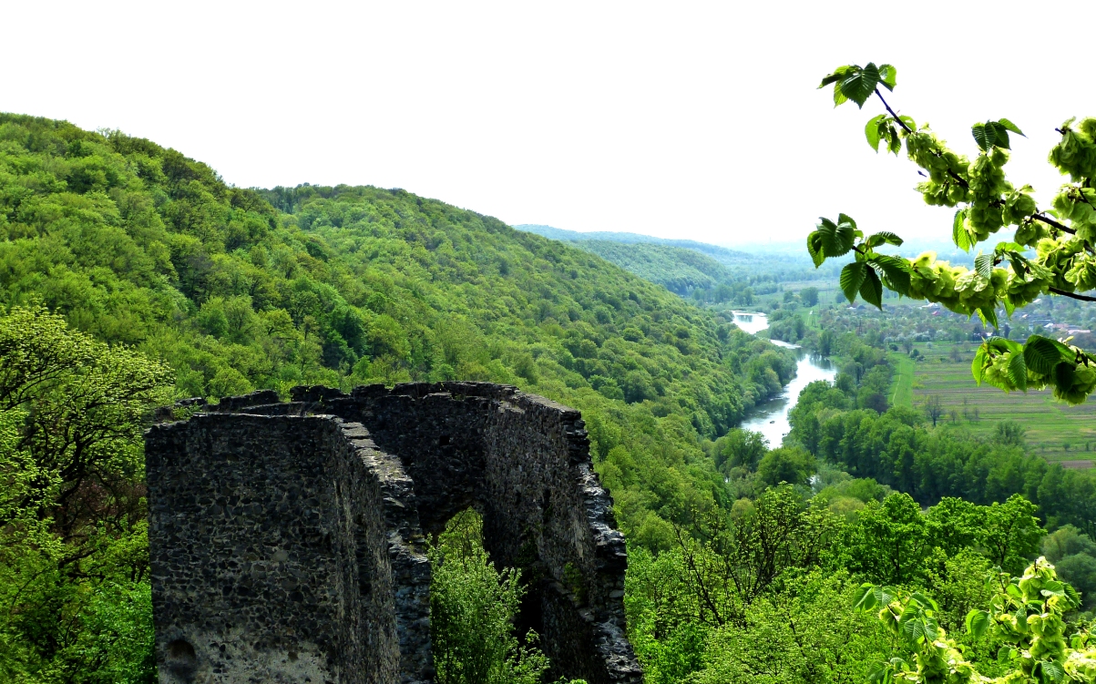 Castelul Nevitsky, călătorul