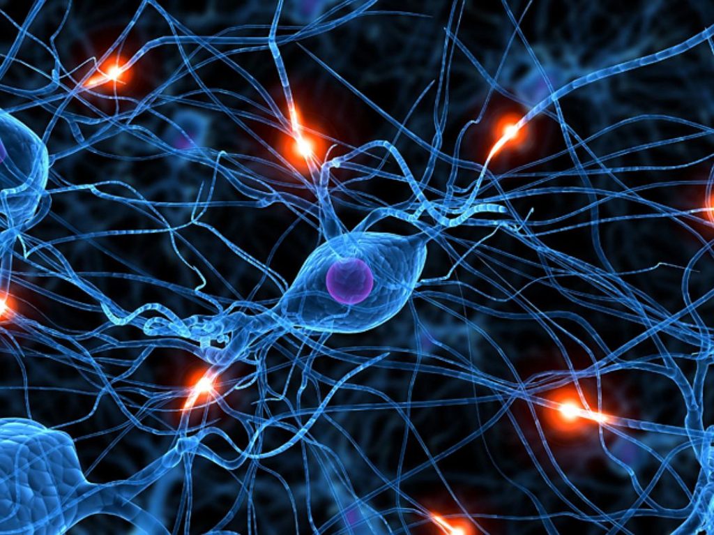 Neurózis és a alkohol alkoholista tünetei neurózis, neurózis után alkohol (neurózis) Neurózis és az alkohol alkoholos tünetei neurózis, neurózis ivás után