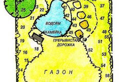 Низькорослий газон підготовка місця і посів, догляд