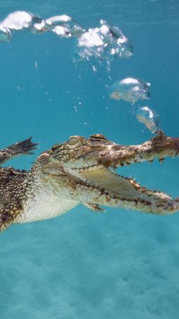 Шпалери під водою скачати 16 фото