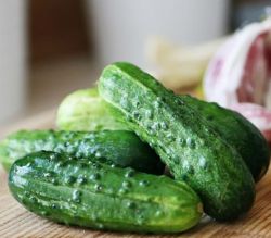 Cucumbers crunchy bed fotografie, recenzii, descriere, valoarea unui soi, cultivare, video