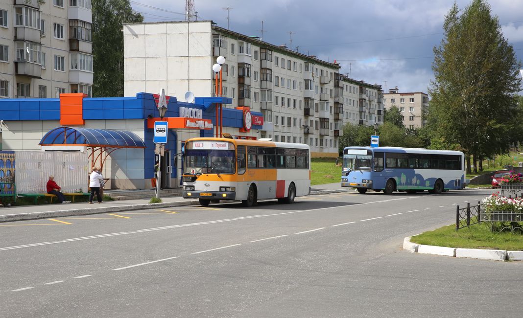 Опитування тижні про бродячих собак, маршрути автобусів, купання в міському ставку і вибори, газета