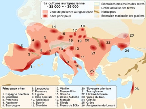 Cultura Aurignac, fondul genetic al Rusiei