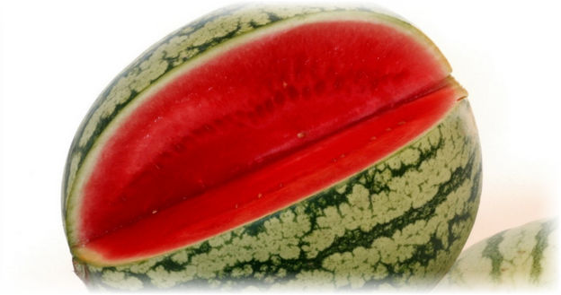 Caracteristicile de pepene verde fără semințe de creștere