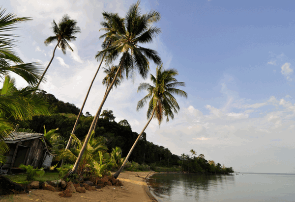 Insula Kohang - un exotic din Thailanda (fotografie, video)